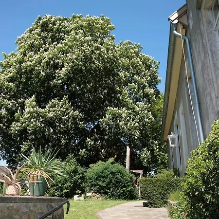 Haus Keppelborg: Zi Rosina Mit Burggartenblick Apartment