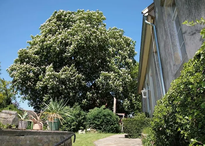 Haus Keppelborg: Zi Rosina Mit Burggartenblick Lejlighed